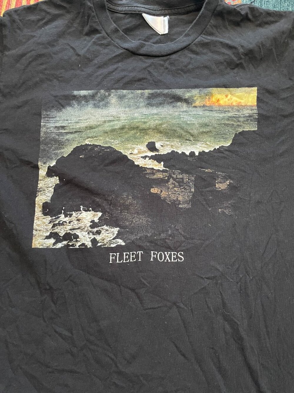 Fleet Foxes Band T-Shirt